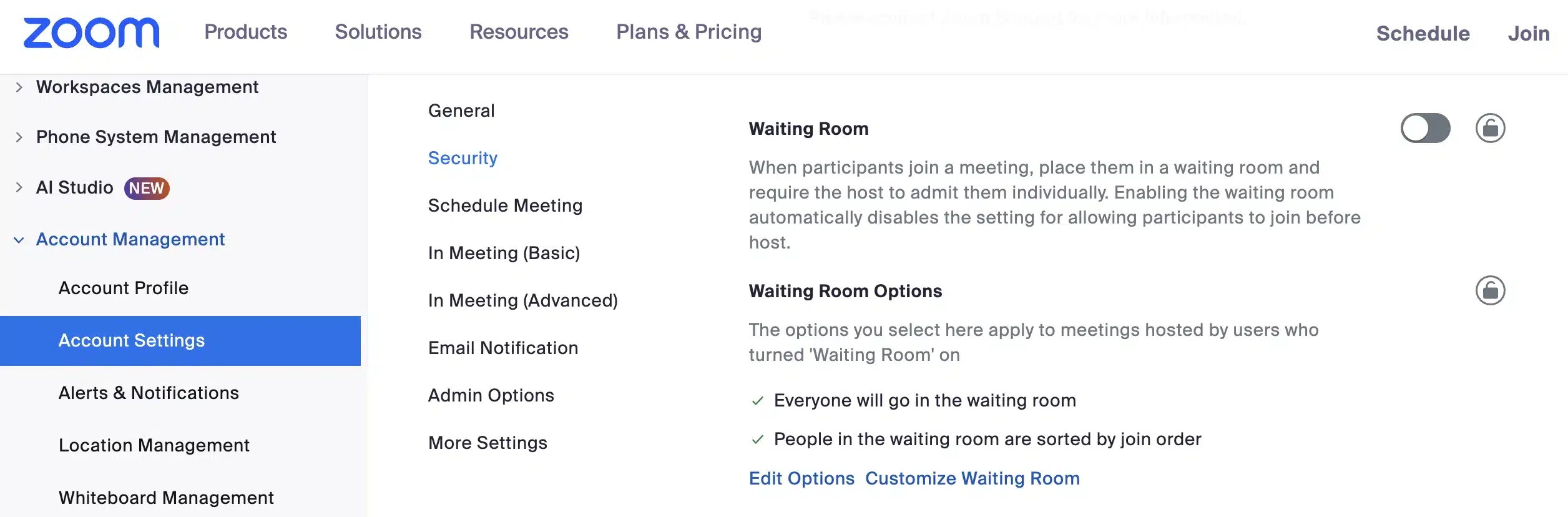 Zoom Waiting Room Customization